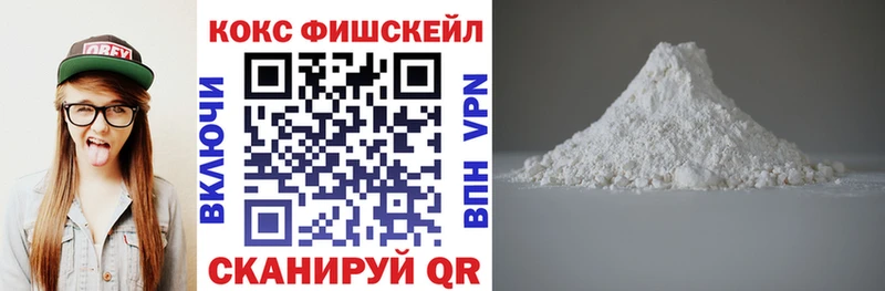 COCAIN Эквадор цена Ковров