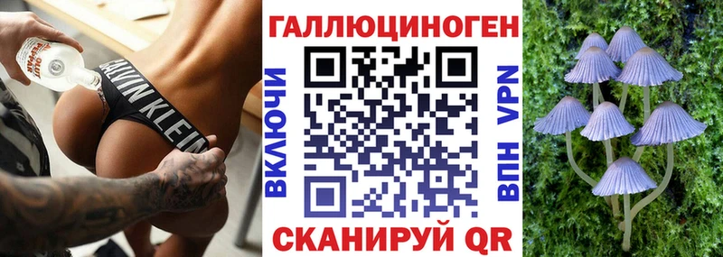 Псилоцибиновые грибы Cubensis Ковров